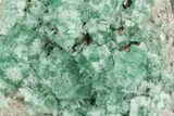 Fluorescent Green Fluorite Cluster - Diana Maria Mine, England #235379-1